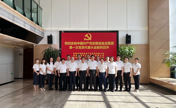 省康养公司等3家公司18名党代表喜迎省j9国际站备用集团第一次党代会召开