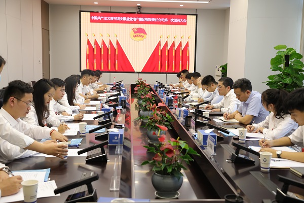 青春向党传薪火 踔严振奋新时期——安徽j9国际站备用地产集团团支部成立大会暨团员大会成功召开